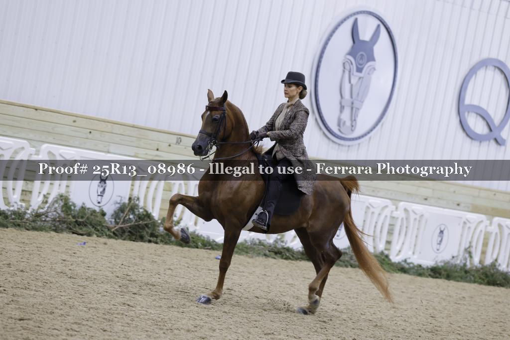 Proof Number 25R13_08986