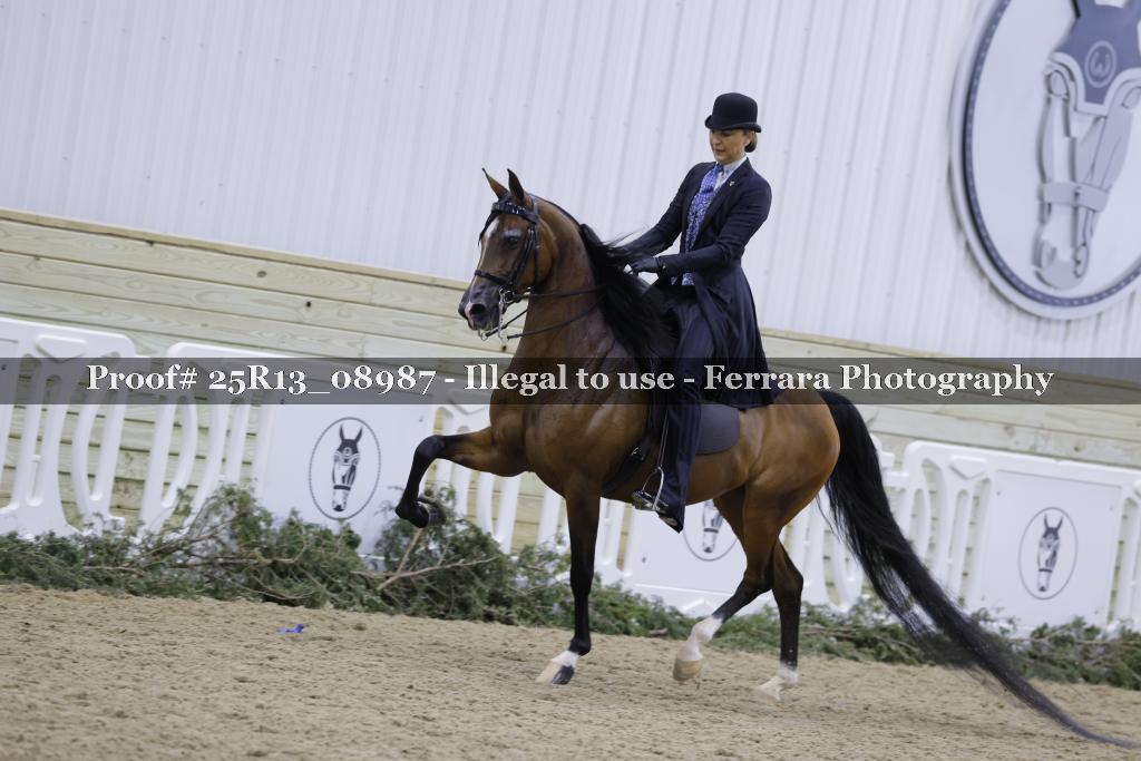 Proof Number 25R13_08987
