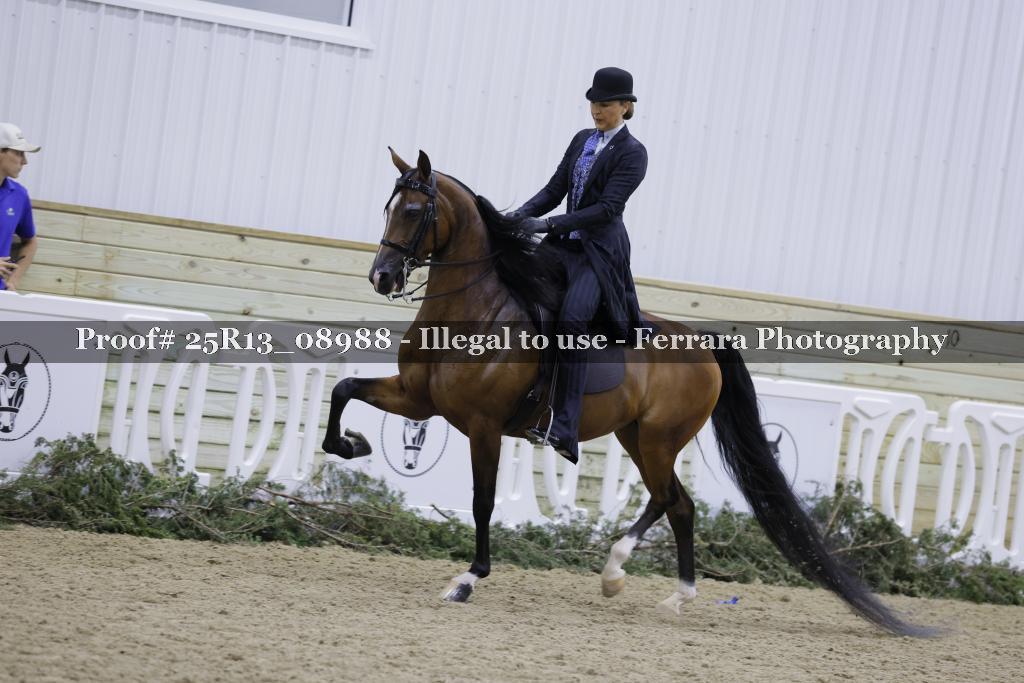 Proof Number 25R13_08988