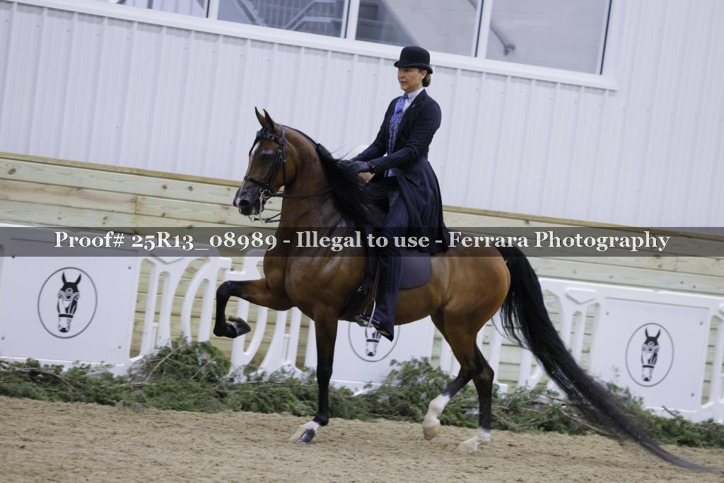 Proof Number 25R13_08989