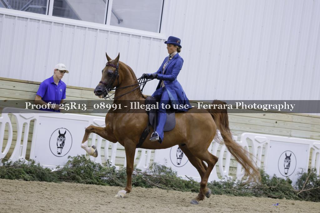 Proof Number 25R13_08991