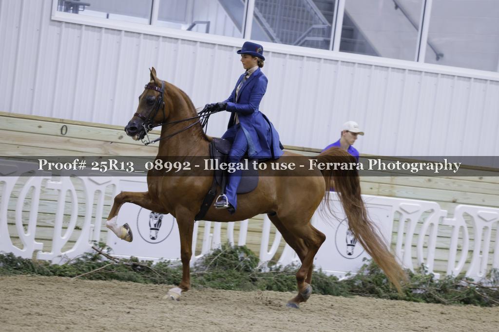 Proof Number 25R13_08992