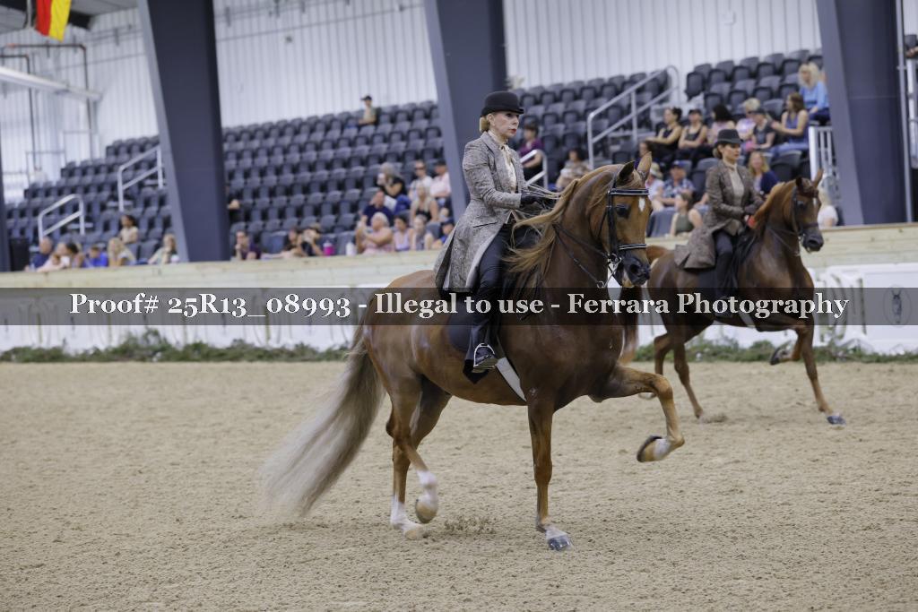 Proof Number 25R13_08993