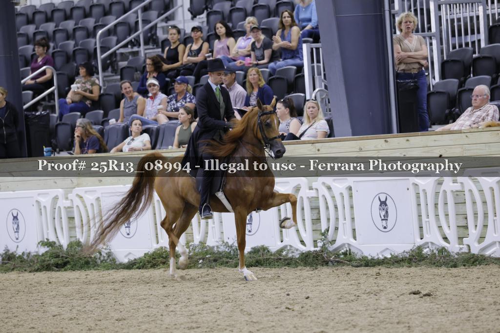 Proof Number 25R13_08994