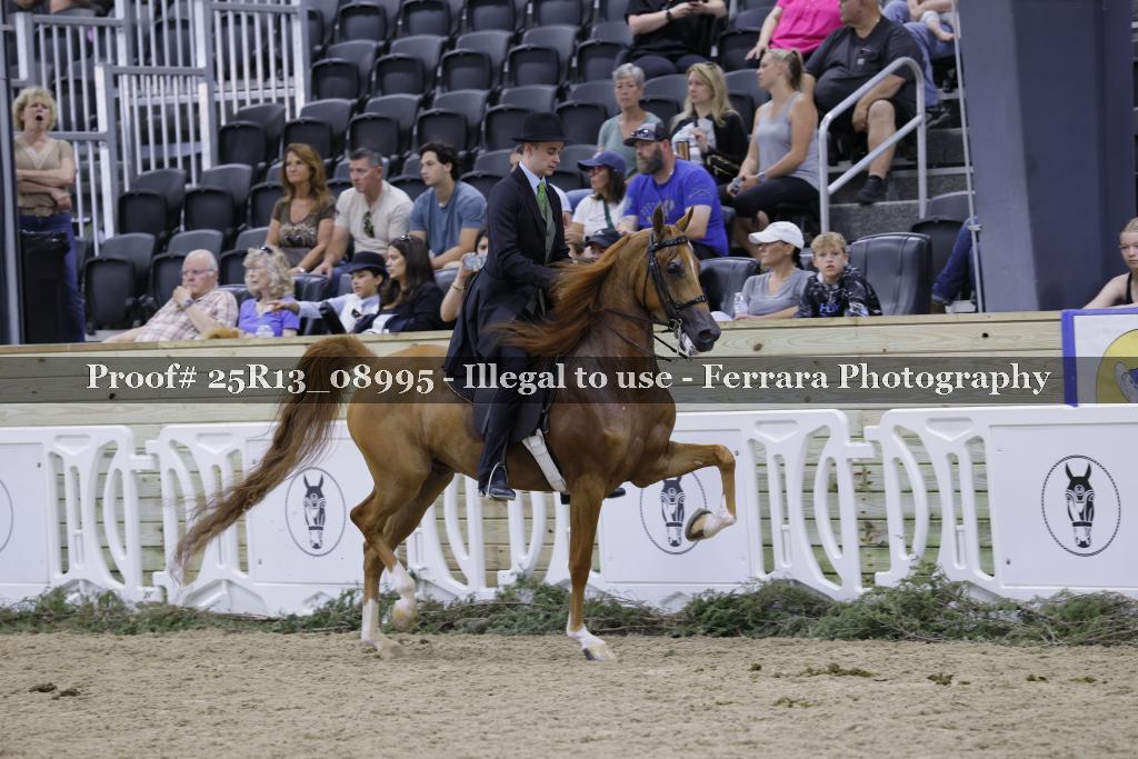 Proof Number 25R13_08995