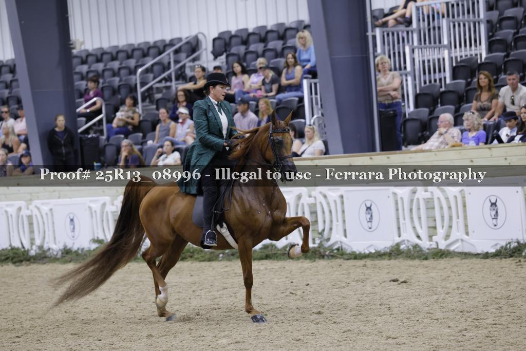 Proof Number 25R13_08996