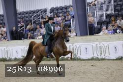 25R13_08996 thumbnail
