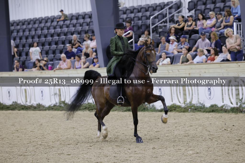 Proof Number 25R13_08999