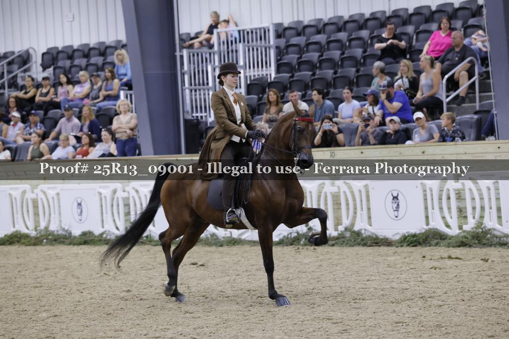Proof Number 25R13_09001