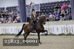 25R13_09001 thumbnail