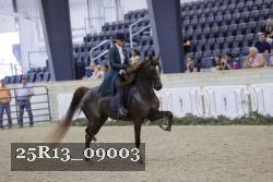 25R13_09003 thumbnail