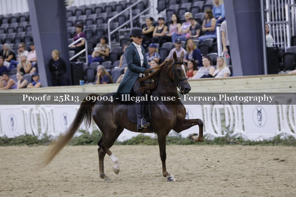Proof Number 25R13_09004