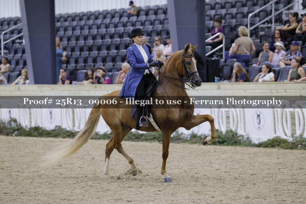 Proof Number 25R13_09006
