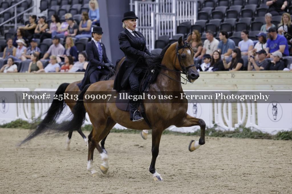 Proof Number 25R13_09007