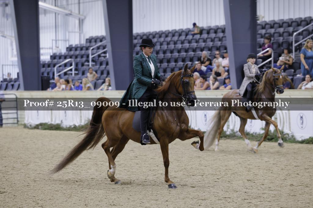 Proof Number 25R13_09009