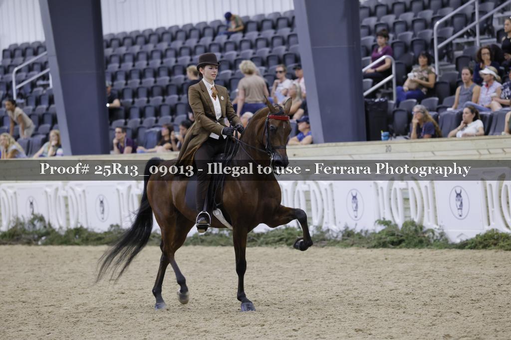 Proof Number 25R13_09013