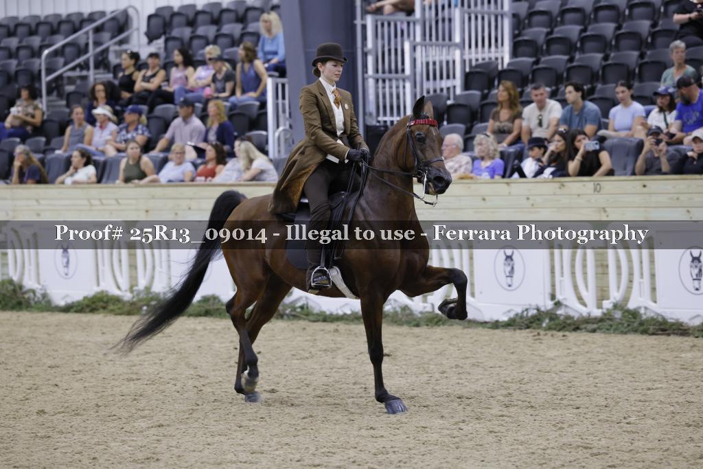 Proof Number 25R13_09014