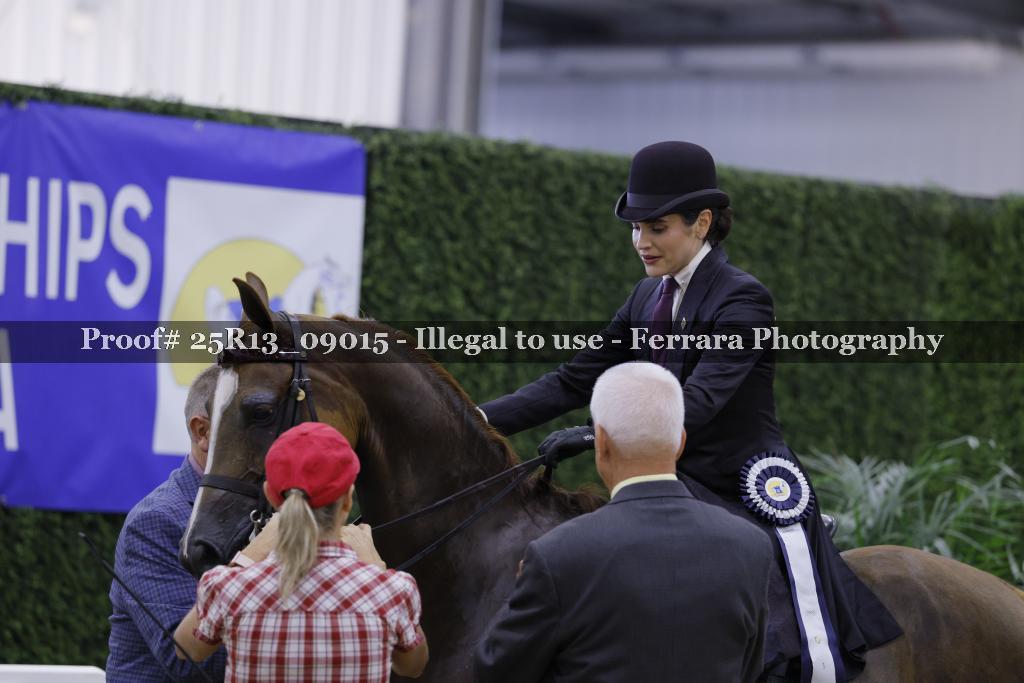 Proof Number 25R13_09015