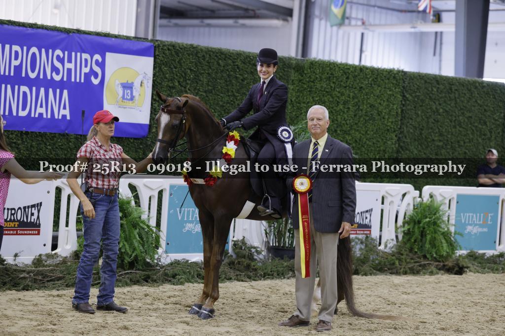 Proof Number 25R13_09018