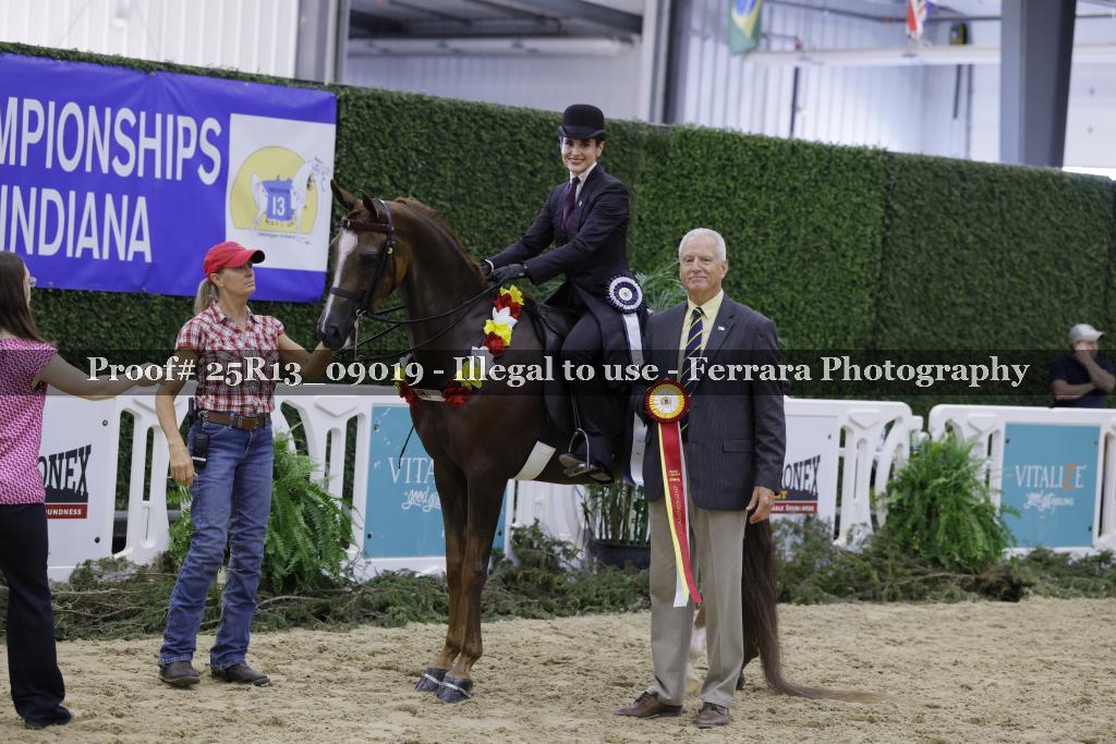 Proof Number 25R13_09019