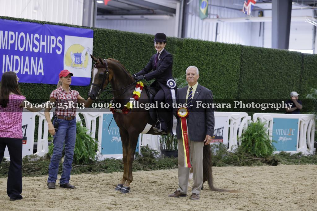 Proof Number 25R13_09020