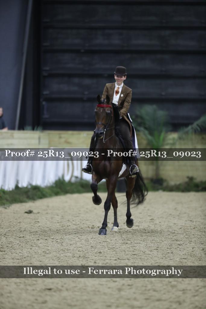 Proof Number 25R13_09023