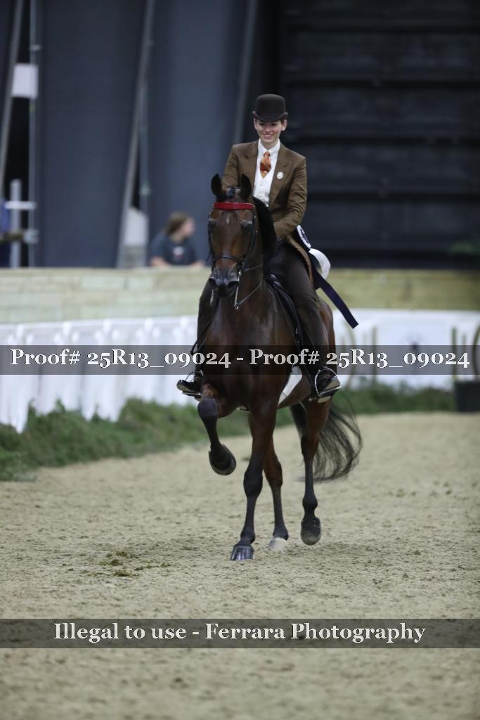Proof Number 25R13_09024