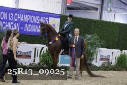 25R13_09025 thumbnail