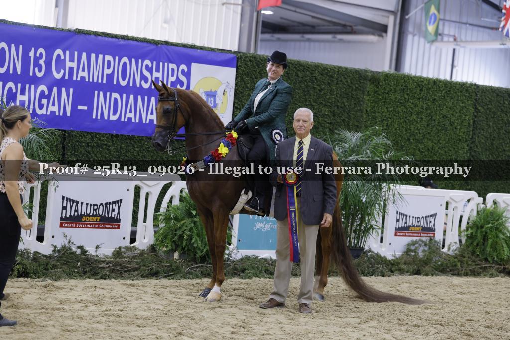 Proof Number 25R13_09026