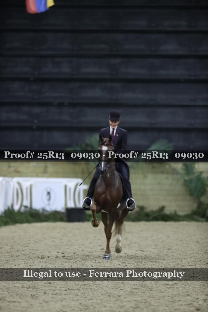 Proof Number 25R13_09030
