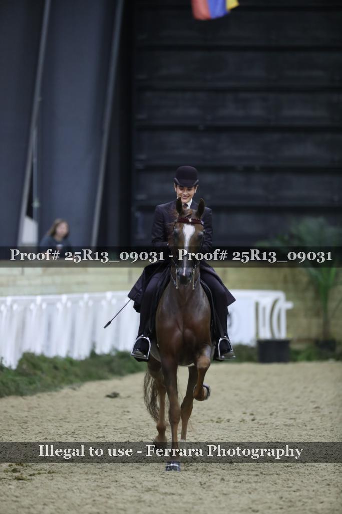 Proof Number 25R13_09031