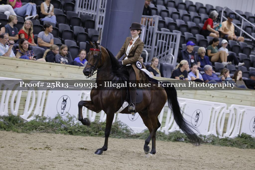 Proof Number 25R13_09034