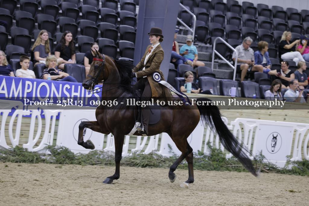 Proof Number 25R13_09036