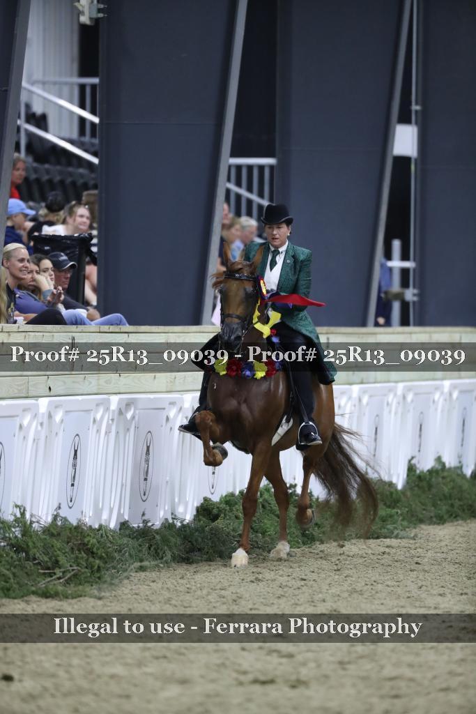 Proof Number 25R13_09039