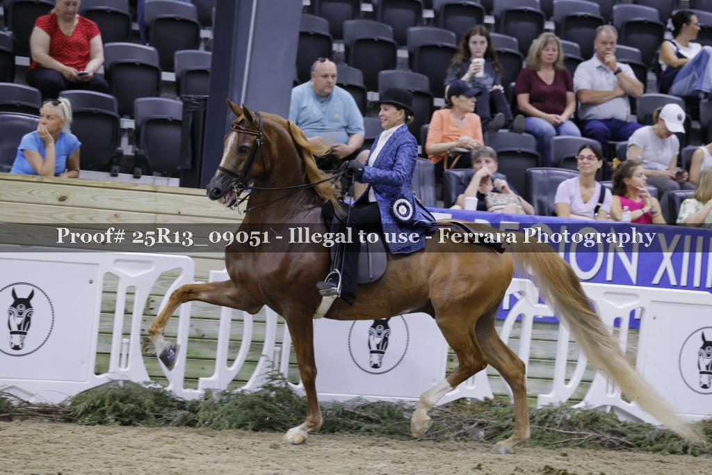 Proof Number 25R13_09051