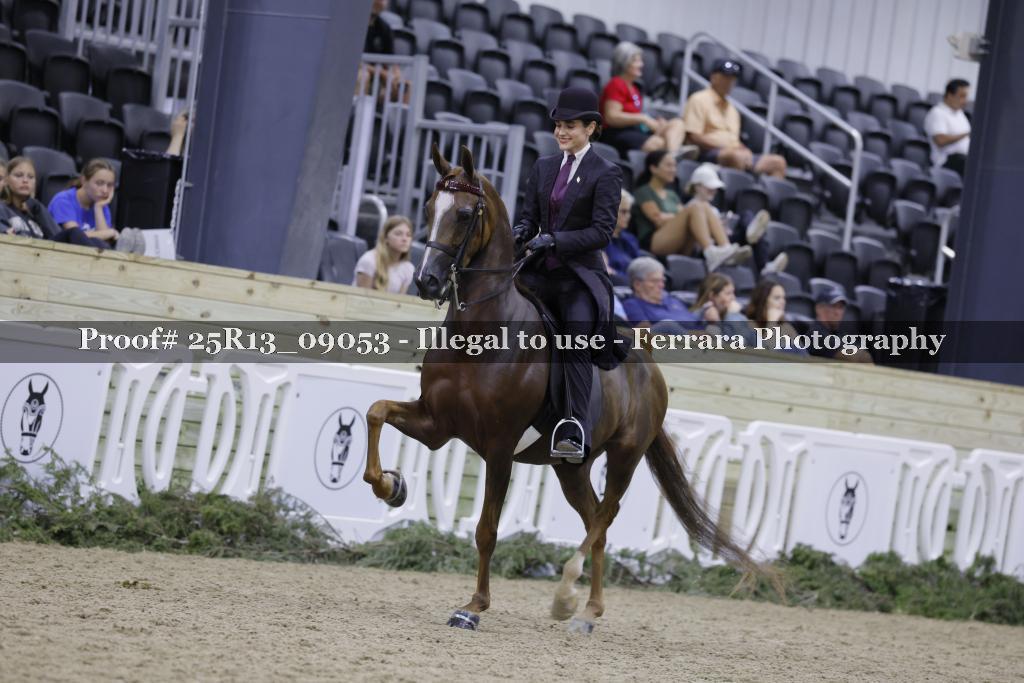 Proof Number 25R13_09053