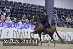 25R13_09054 thumbnail