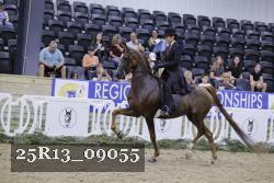 25R13_09055 thumbnail