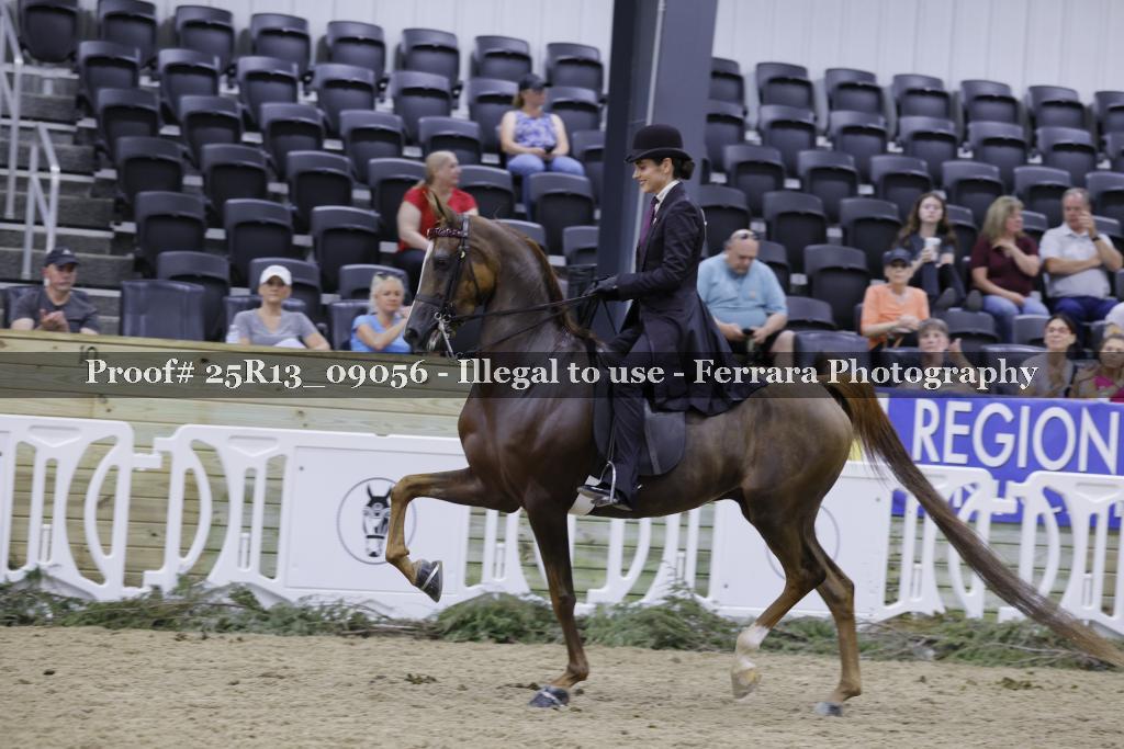 Proof Number 25R13_09056