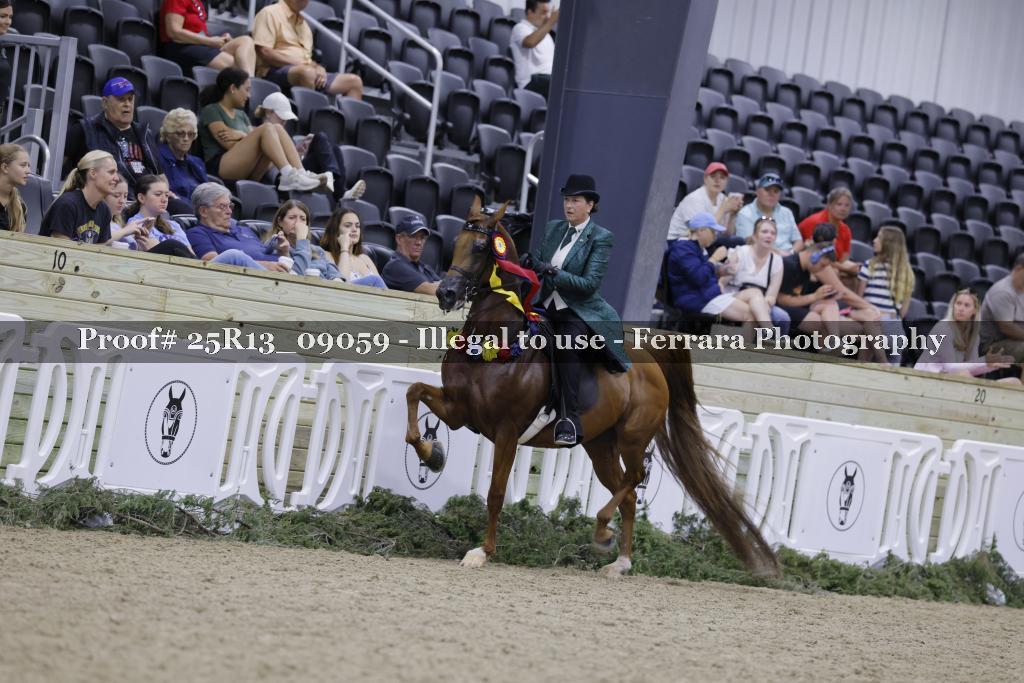 Proof Number 25R13_09059
