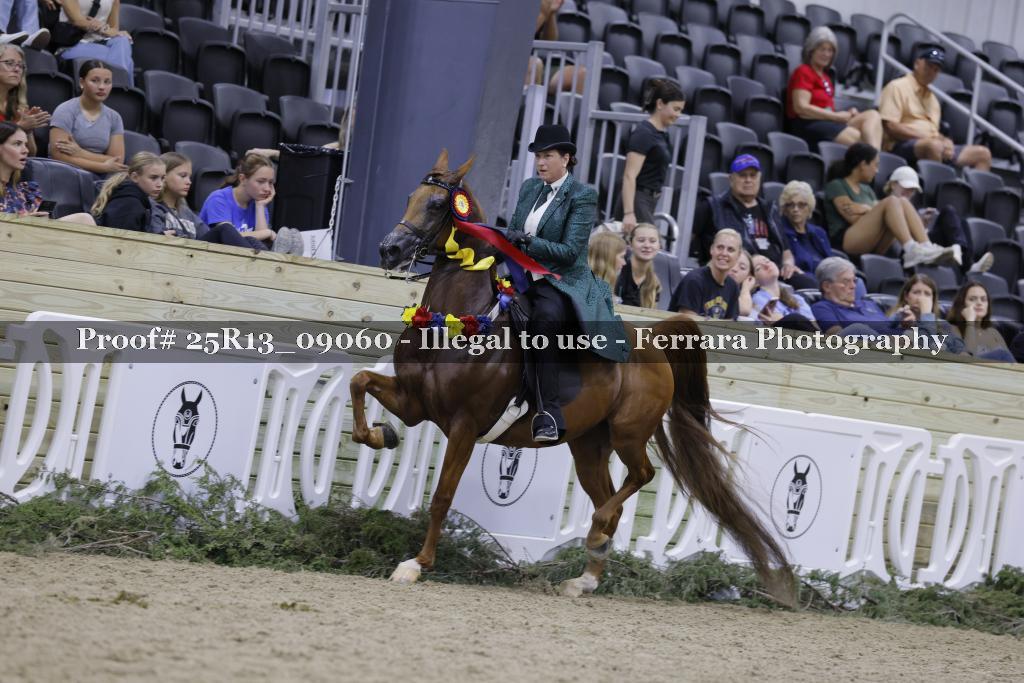 Proof Number 25R13_09060