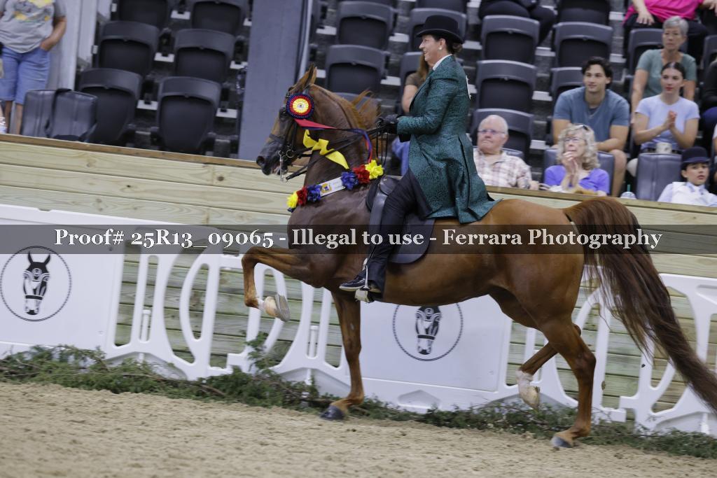 Proof Number 25R13_09065