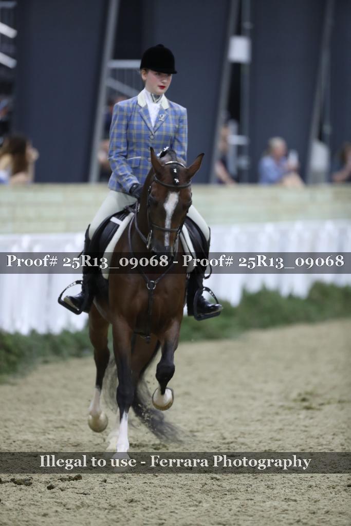 Proof Number 25R13_09068