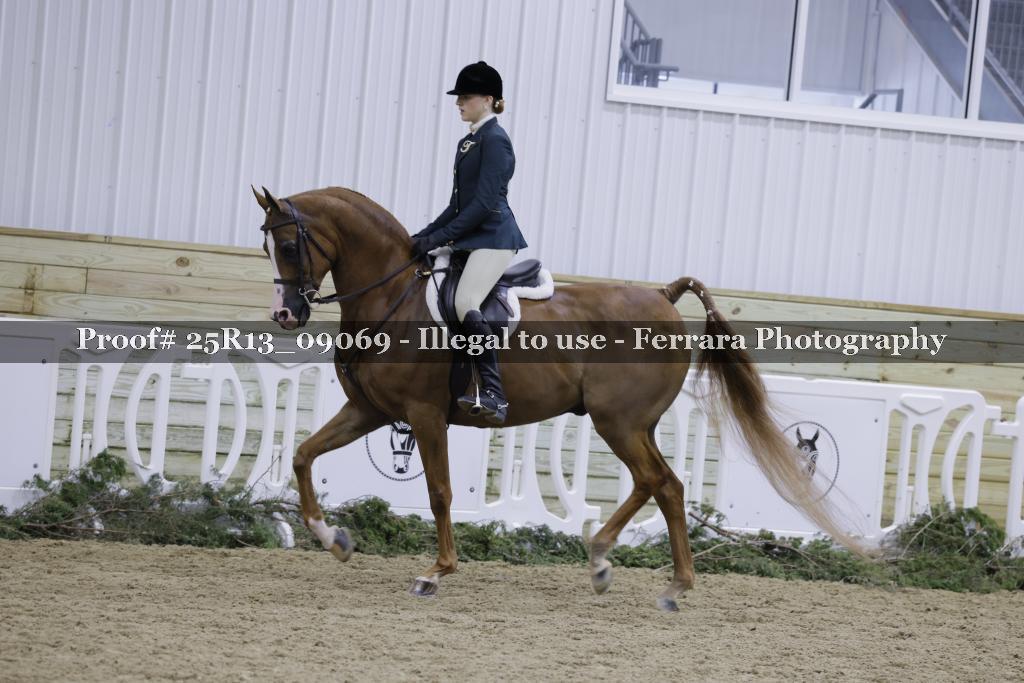 Proof Number 25R13_09069