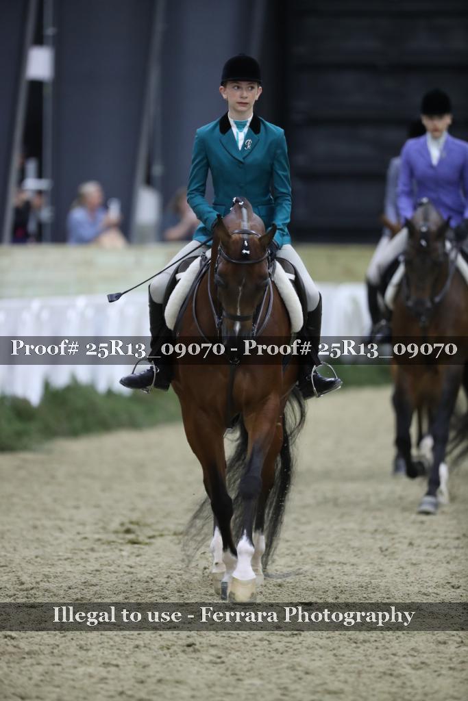 Proof Number 25R13_09070