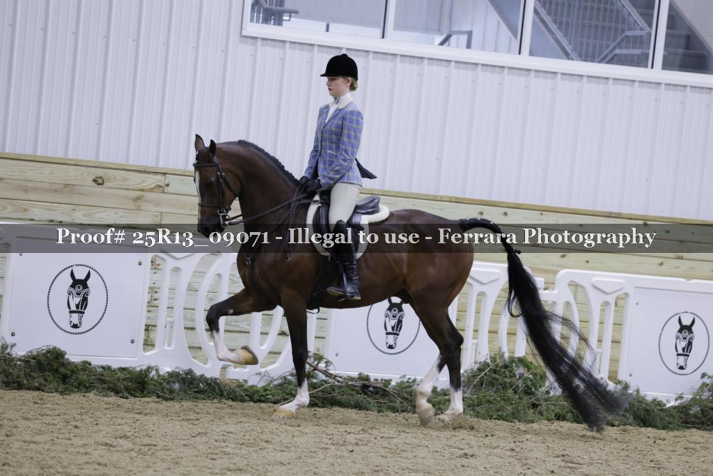 Proof Number 25R13_09071
