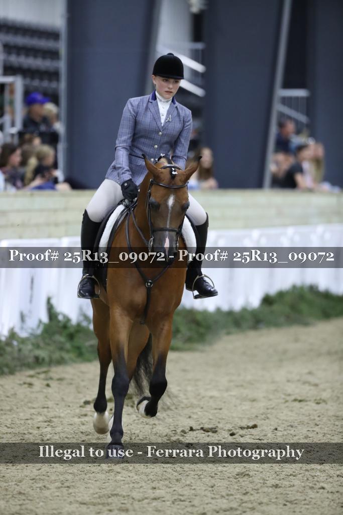 Proof Number 25R13_09072
