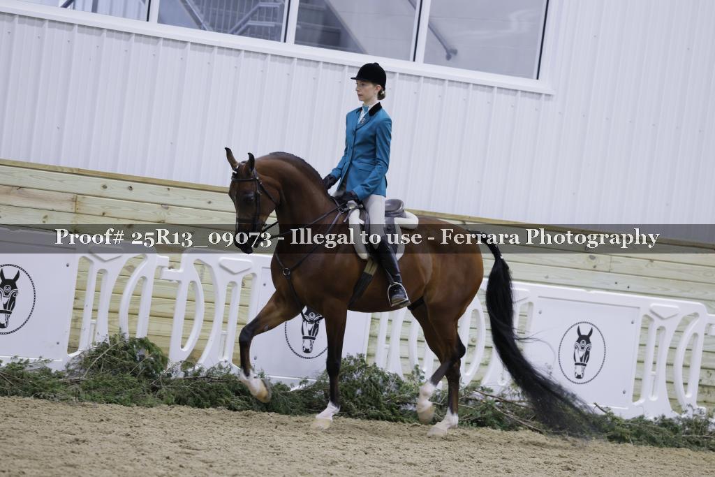 Proof Number 25R13_09073