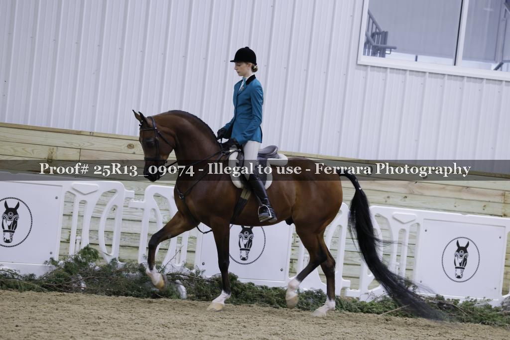 Proof Number 25R13_09074