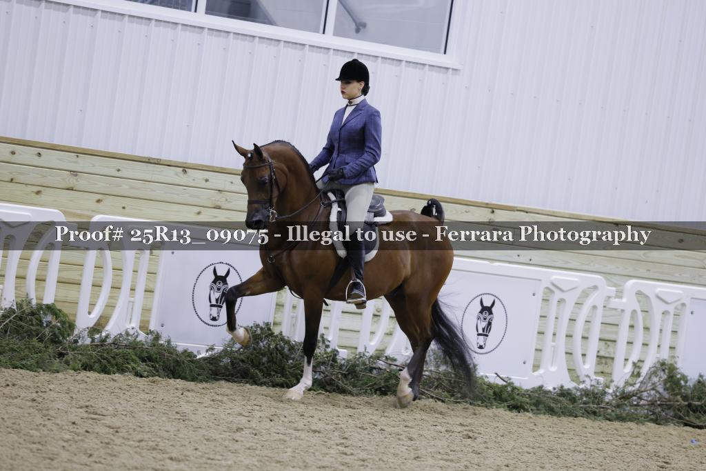 Proof Number 25R13_09075